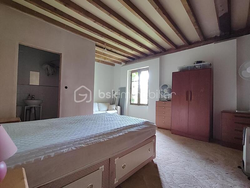 Moulin - 287 m² - 12 pièces