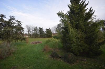 Viager - Maison ancienne - 242 m² - 10 pièces