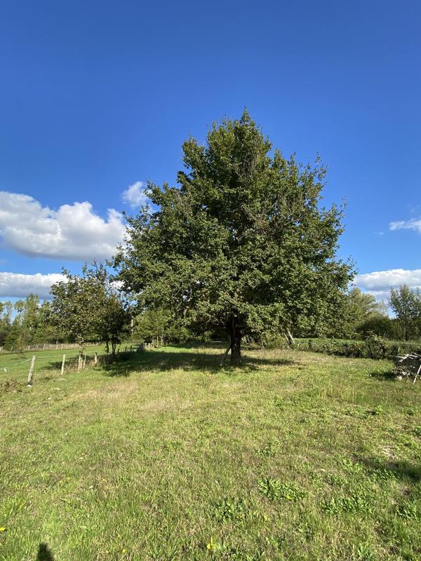 Maison - 118 m² - 5 pièces