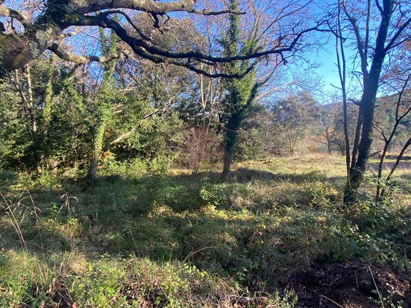 Terrain constructible - 1 040 m²