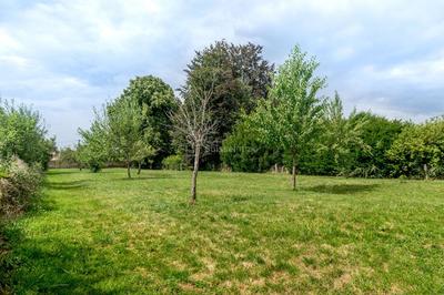 Terrain constructible - 2 000 m²