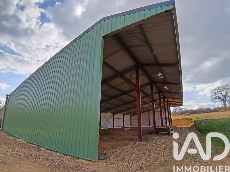 Terrain agricole - 11 588 m²