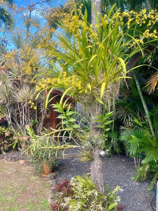 Villa - 236 m² - 6 pièces