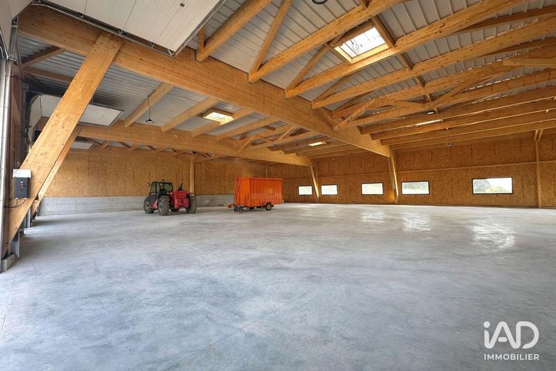 Local commercial - 553 m²