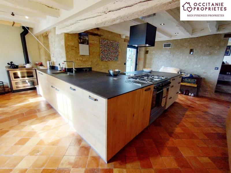 Maison ancienne - 530 m² - 12 pièces