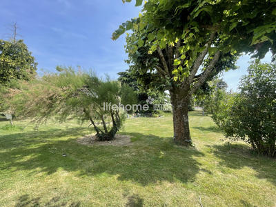 Local commercial - 550 m²