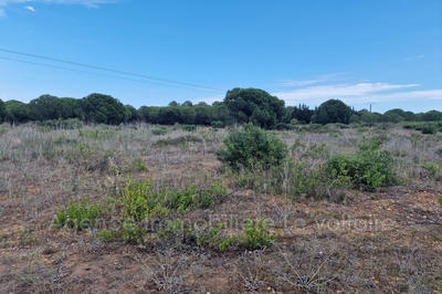 Terrain de loisirs - 1 400 m²