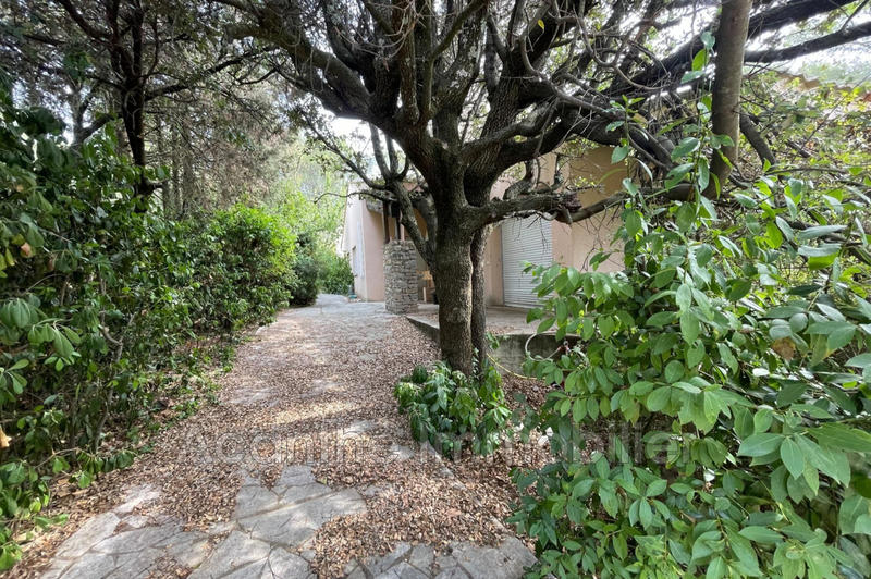 Maison - 240 m² - 5 pièces