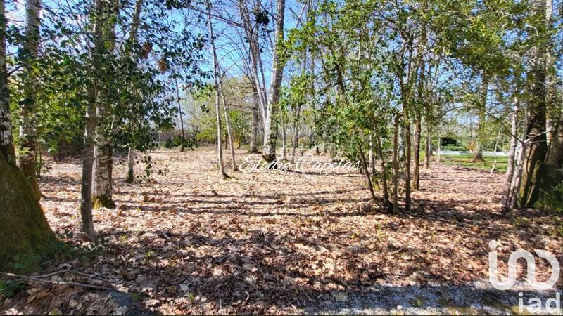 Maison - 210 m² - 7 pièces