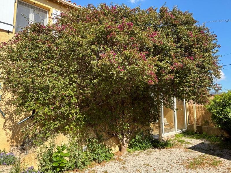 Maison de village - 46 m² - 3 pièces