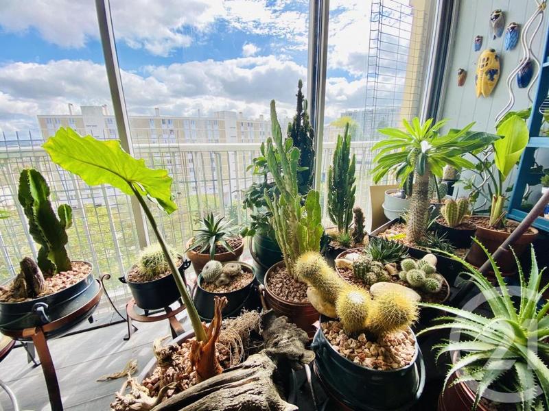 Appartement - 76 m² - 4 pièces