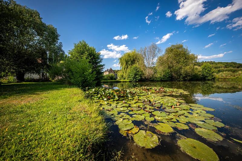 Propriété - 338 m² - 11 pièces