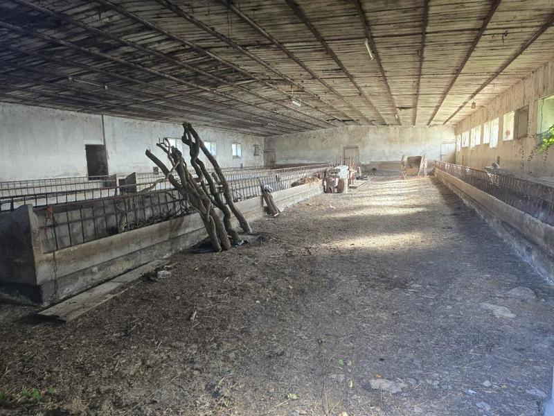 Corps de ferme - 237 m² - 9 pièces