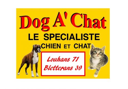 Dog a' Chat