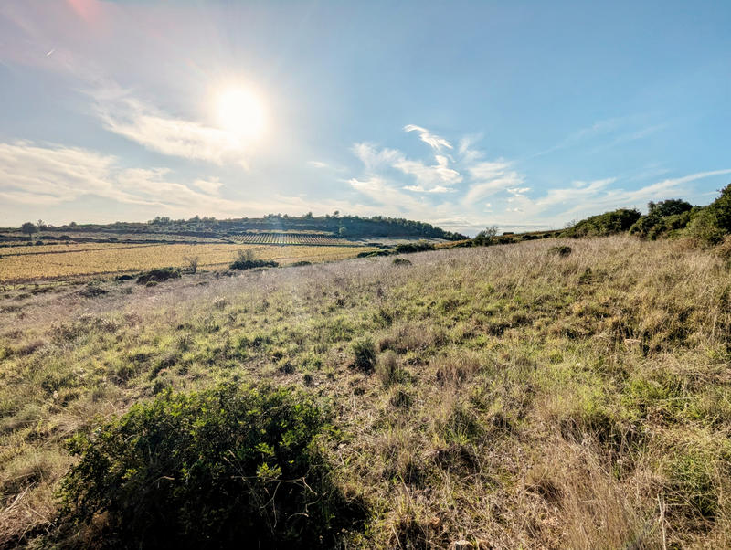 Terrain agricole - 4 950 m²