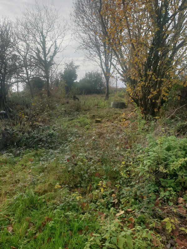 Maison - 215 m² - 3 pièces