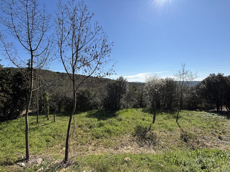 Terrain constructible - 1 330 m²