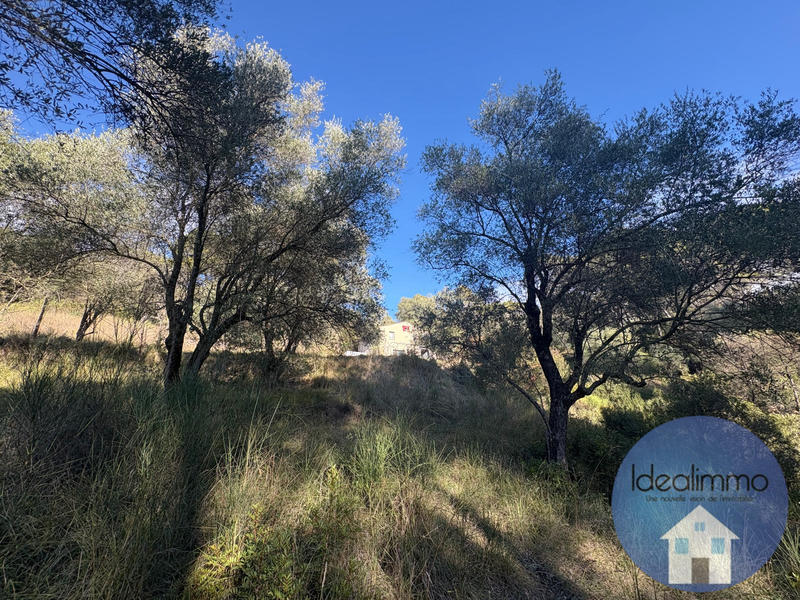 Terrain de loisirs - 20 000 m²