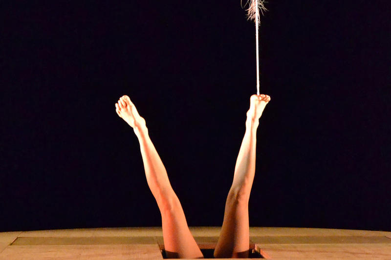 Festival Compli'Cité - le plus petit Cirk du bord du bout du monde