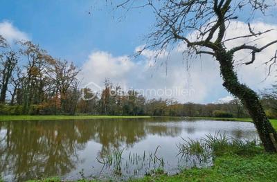 Terrain de loisirs - 9 100 m²