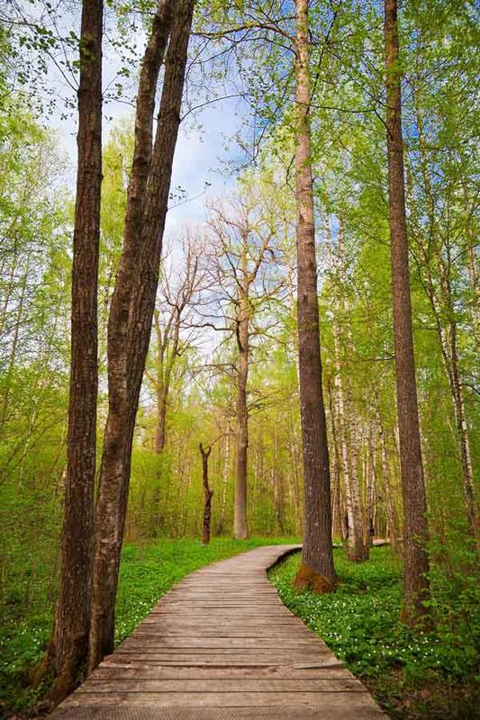 Infirmières à Colmar