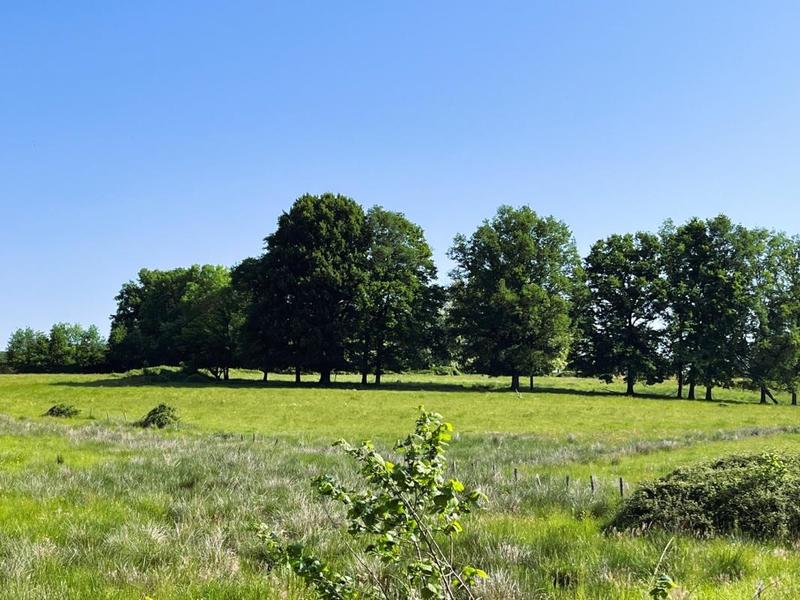 Corps de ferme - 351 m² - 9 pièces