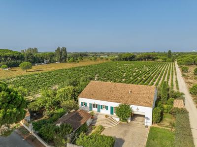 Maison - 214 m² - 5 pièces