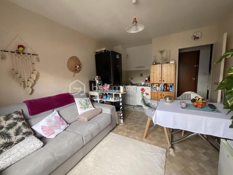 Studio - 24 m² - 1 pièce