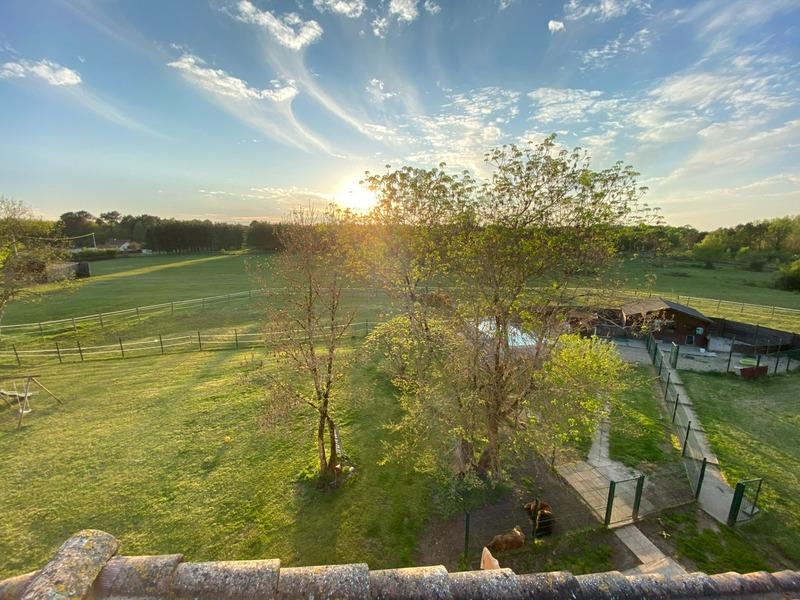 Maison - 482 m² - 12 pièces