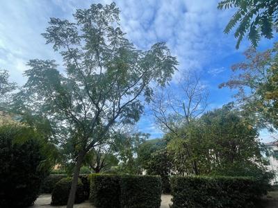 Appartement - 73 m² - 4 pièces