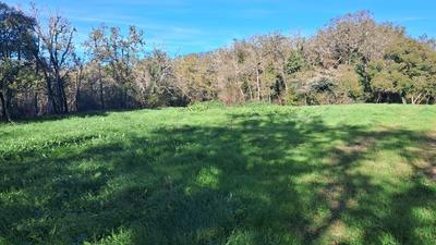 Terrain constructible - 2 000 m²