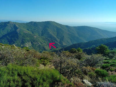 Terrain agricole - 12 330 m²