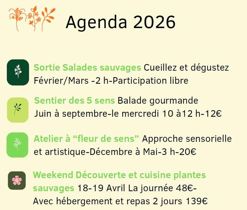 Sortie salades sauvages