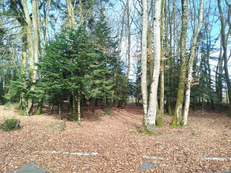 Maison - 184 m² - 6 pièces