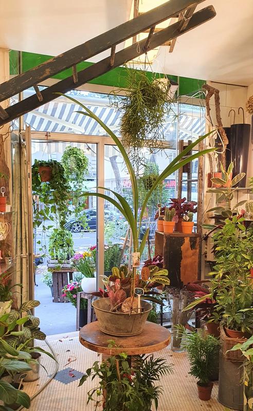 Fonds de commerce - Magasins - 39 m²