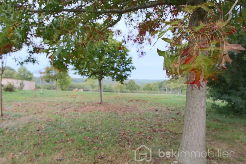 Maison - 335 m² - 11 pièces