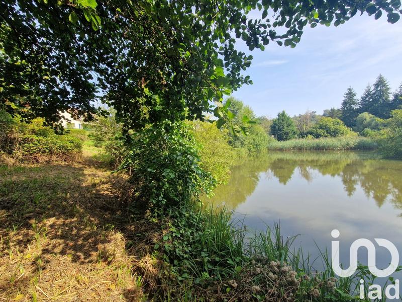 Terrain - 10 000 m²