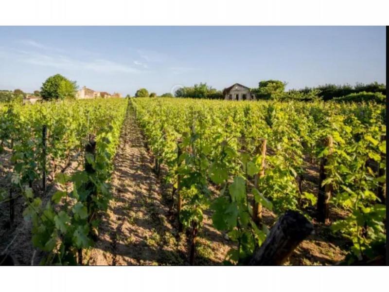 Terrain - 49 712 m²