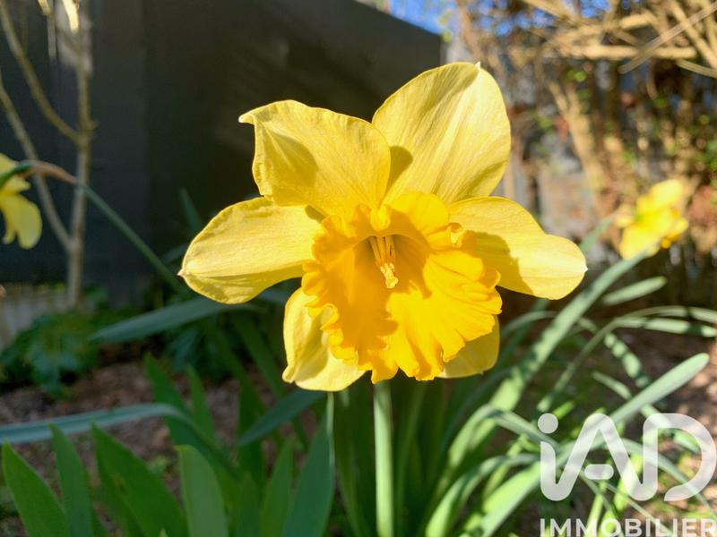 Maison - 174 m² - 7 pièces