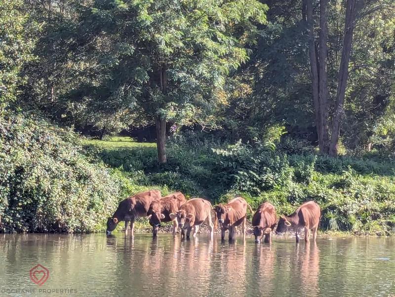 Maison de village - 154 m² - 6 pièces
