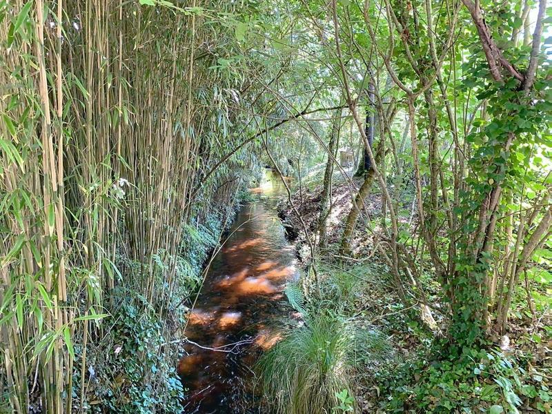 Terrain constructible - 1 041 m²