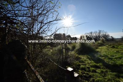 Maison - 600 m² - 11 pièces