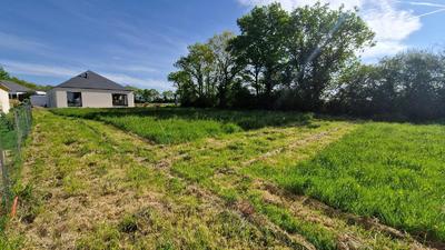 Terrain - 742 m²