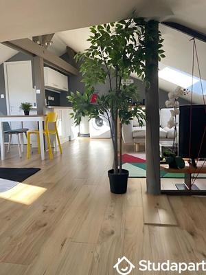 Appartement - 13 m² - 1 pièce