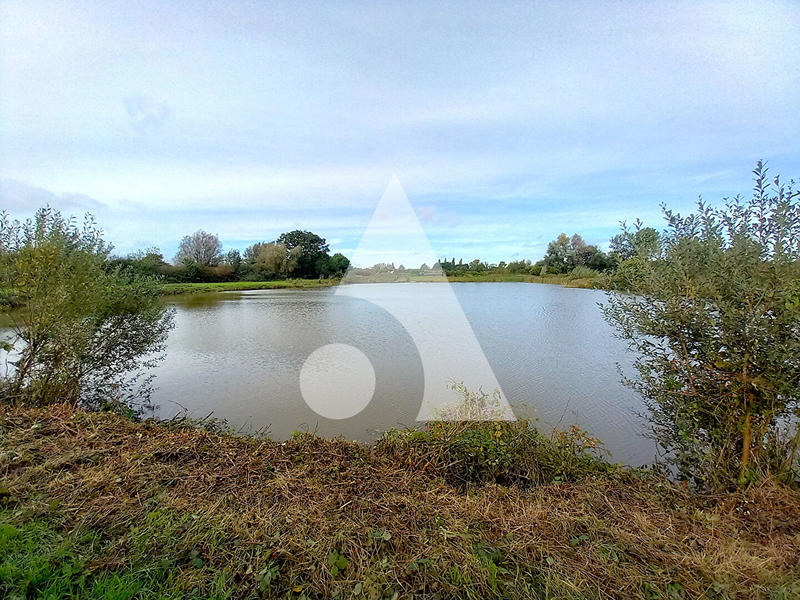 Étang - 15 059 m²