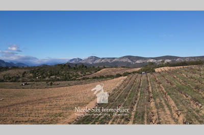 Terrain agricole - 41 295 m²
