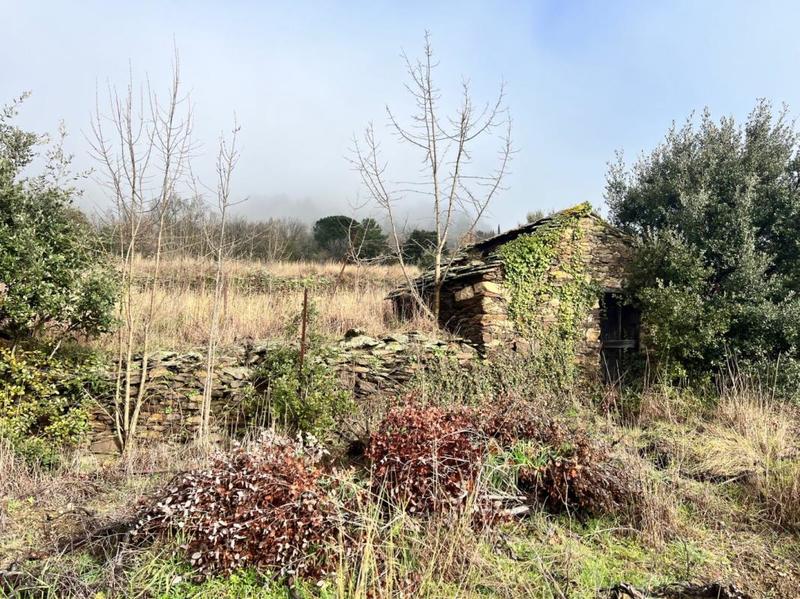 Terrain - 10 545 m²