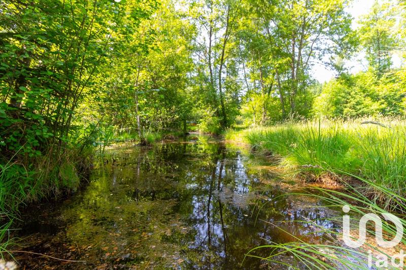 Terrain - 39 973 m²