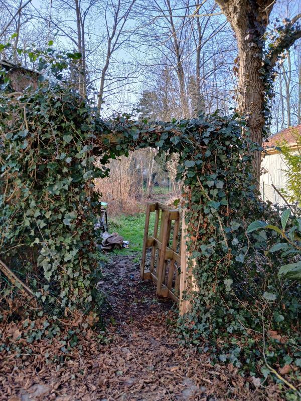 Duplex - 37 m² - 2 pièces