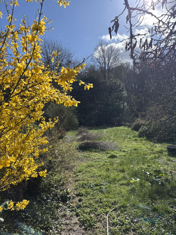 Maison ancienne - 75 m² - 5 pièces